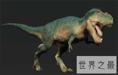 【图】灭绝动物这么多 当前不要轻易捕杀动物了