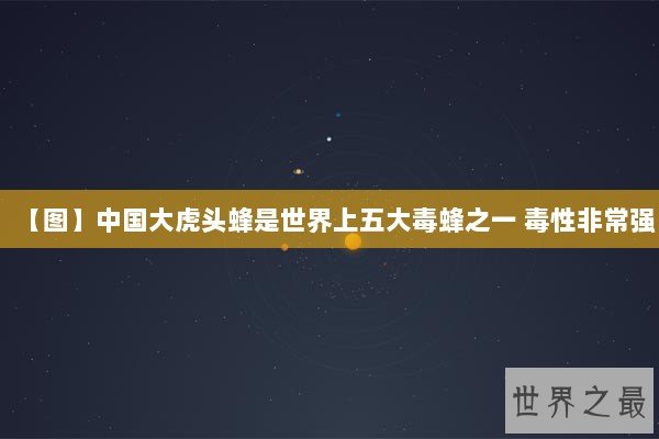 【图】中国大虎头蜂是世界上五大毒蜂之一 毒性非常强