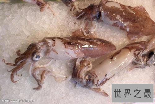 【图】宁波海鲜，作为靠海第一，有哪些海鲜连本地人