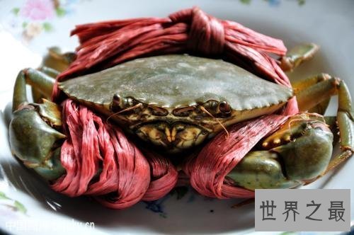 【图】宁波海鲜，作为靠海第一，有哪些海鲜连本地人