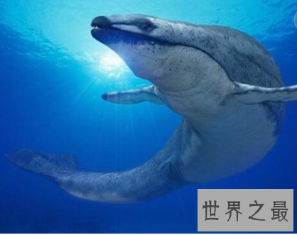 【图】龙王鲸帝王般的存在 却早已成为一堆毫有意义的