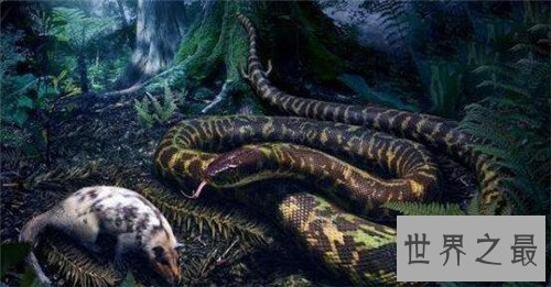 【图】厚针龙长什么样 传说中的青龙正是它