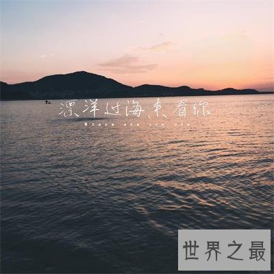 【图】由于思念，漂洋过海来看你