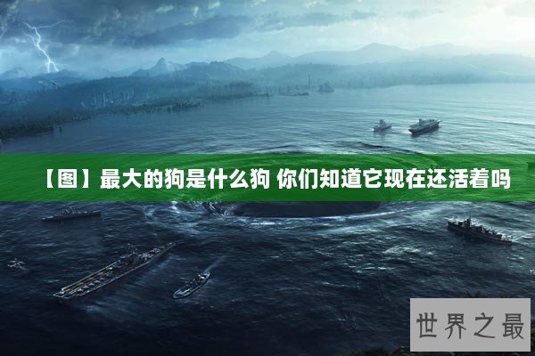 【图】最大的狗是什么狗 你们知道它现在还活着吗 【图】最大的狗是什么狗 你们知道它现在还活着吗