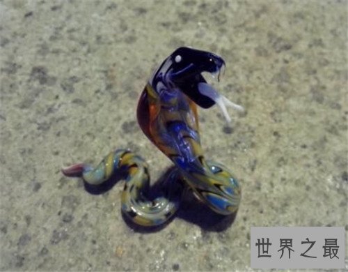 【图】玻璃蛇的特色和形状引见 少数人以为它属于蜥蜴
