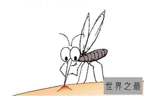 【图】科学解释蚊子青睐叮咬什么血型的人
