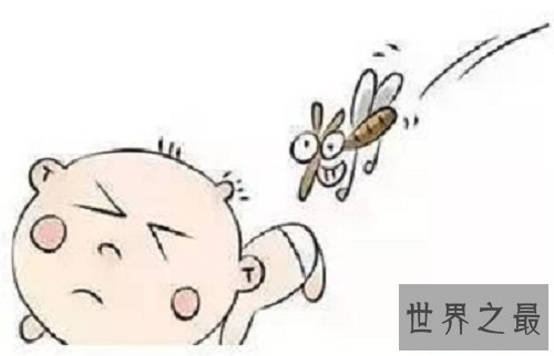 【图】科学解释蚊子青睐叮咬什么血型的人