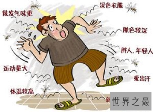 【图】科学解释蚊子青睐叮咬什么血型的人
