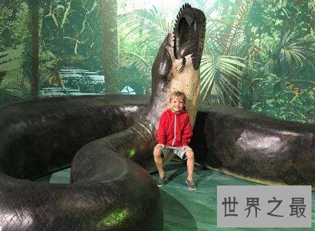 【图】世界上最长的蛇能与鳄鱼搏斗整个吞下