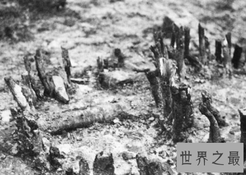 【图】悲情母子——让你心生怜惜的一部剧,给你不一