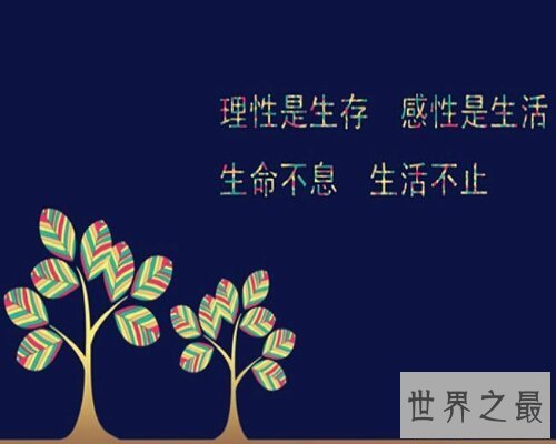 【图】出去找几句励志的话来激励本人吧,让本人更进