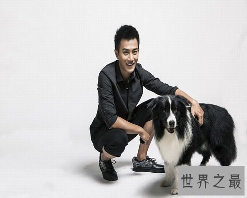 【图】转前进入演艺圈的演员——刘凯威，获得了甘美