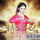 【图】特工皇妃——让你对特工不一样的认识，不一样