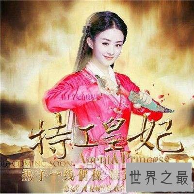 【图】特工皇妃——让你对特工不一样的意识,不一样