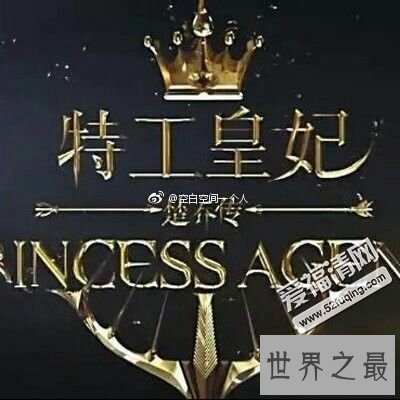 【图】特工皇妃——让你对特工不一样的意识,不一样