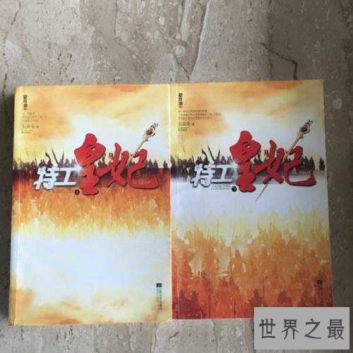 【图】特工皇妃——让你对特工不一样的意识,不一样