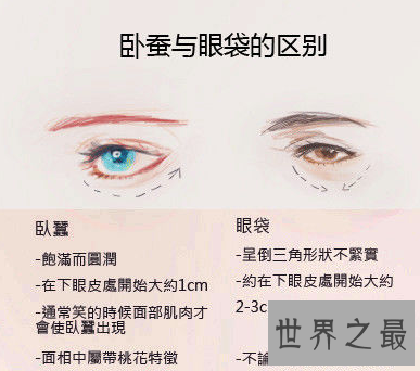 【图】充满魅力的卧蚕眼,你能否也想领有呢?