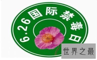 【图】六月二十六日国际禁毒日 让人们远离毒品缩小伤