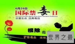 【图】六月二十六日国际禁毒日 让人们远离毒品减少伤