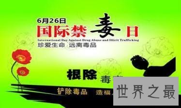 【图】六月二十六日国际禁毒日 让人们远离毒品缩小伤
