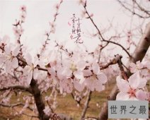 【图】不准离朕这么远，那要我靠近吗？