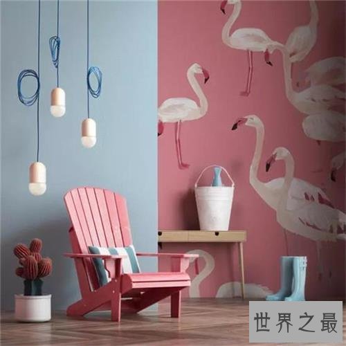 【图】仙女屋,萌化少女心!