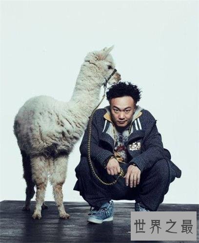 【图】十年的歌词还记得吗？