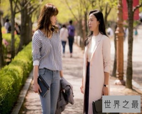 【图】韩国最火热的律政片-good wife