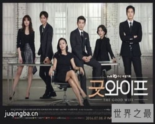 【图】韩国最火热的律政片-good wife