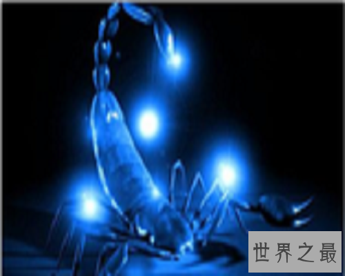 【图】想知道巨蟹座和什么星座最相配吗？来这里看看