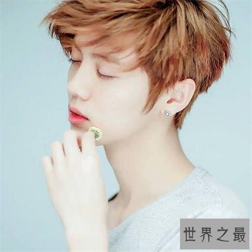 【图】热搜榜上点击率最高的五小事情，你还不知道？