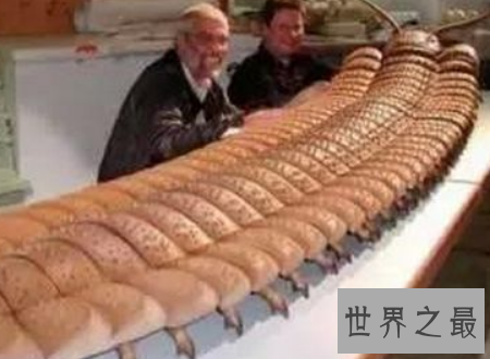 【图】远古蜈蚣虫巨型远古生物站起来比姚明还高