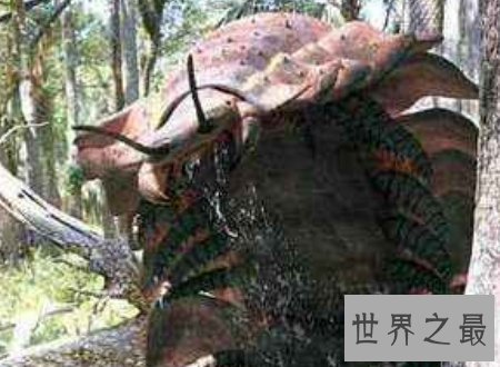 【图】远古蜈蚣虫巨型远古生物站起来比姚明还高