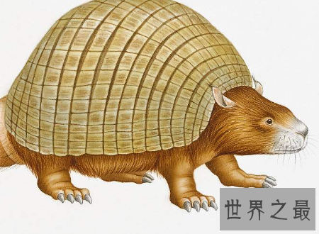 【图】雕齿兽犰狳的先人现代人类的猎杀指标之一