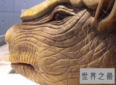 【图】雕齿兽犰狳的先人现代人类的猎杀指标之一