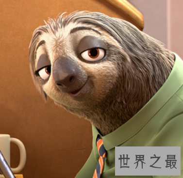 【图】小仙女的最爱 毛绒玩具的原型毛茸茸的世界之最