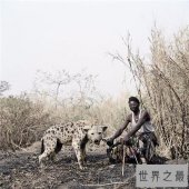 【图】非洲鬣狗堪称世界上最凶猛的狗 但却天生具有很