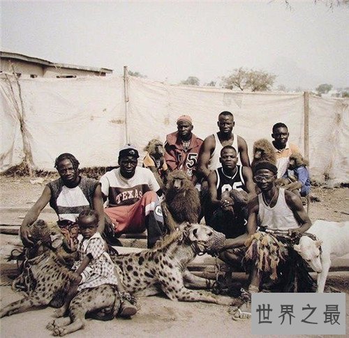 【图】非洲鬣狗可谓世界上最厉害的狗 但却天生具备很