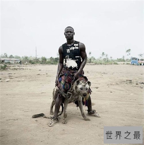 【图】非洲鬣狗可谓世界上最厉害的狗 但却天生具备很