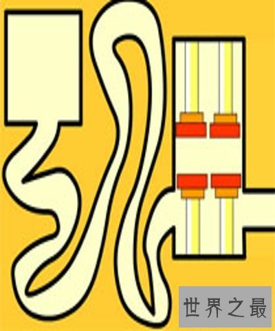 【图】史上最难的游戏,你玩过几个？