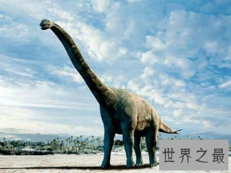 【图】重回远古时代看一下最大的恐龙是什么