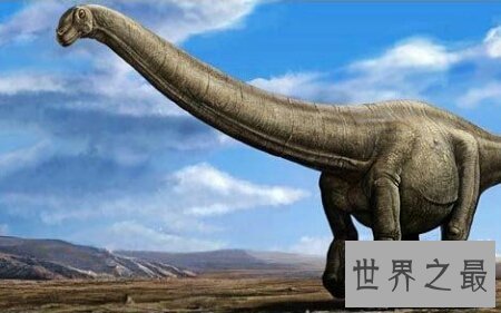 【图】重回远古时代看一下最大的恐龙是什么