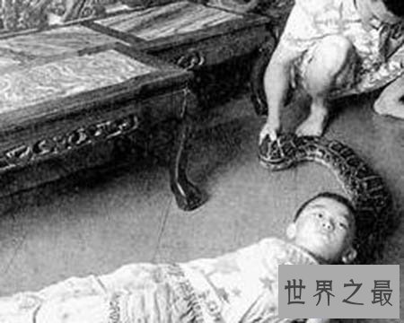 【图】看家蛇在哪里 这是一种什么蛇 真的有灵性吗