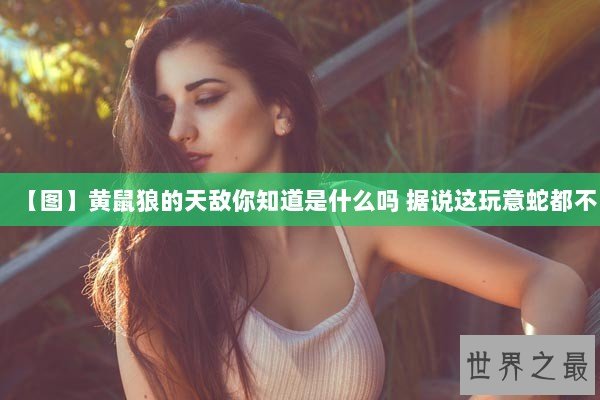 【图】黄鼠狼的天敌你知道是什么吗 据说这玩意蛇都不