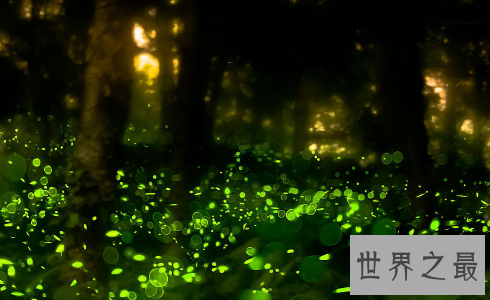 【图】风云雄霸天下插曲，虫儿飞简谱