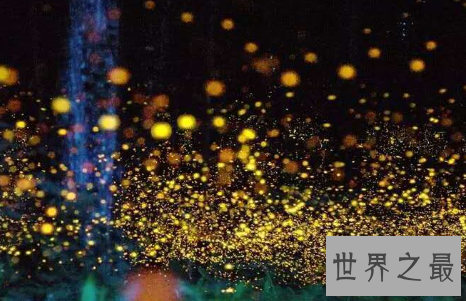 【图】风云雄霸天下插曲，虫儿飞简谱