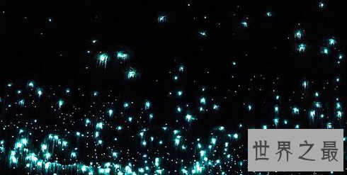 【图】风云雄霸天下插曲，虫儿飞简谱