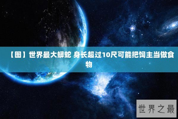 【图】世界最大蟒蛇 身长超过10尺可能把饲主当做食物