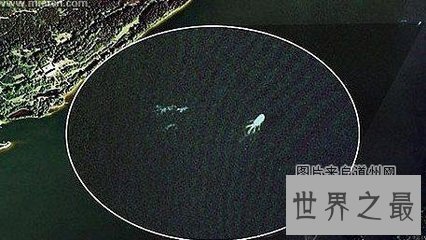 【图】大型哲罗鲑 表面俊俏 曾被误以为是水怪