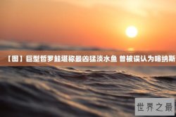 【图】巨型哲罗鲑堪称最凶猛淡水鱼 曾被误认为喀纳斯